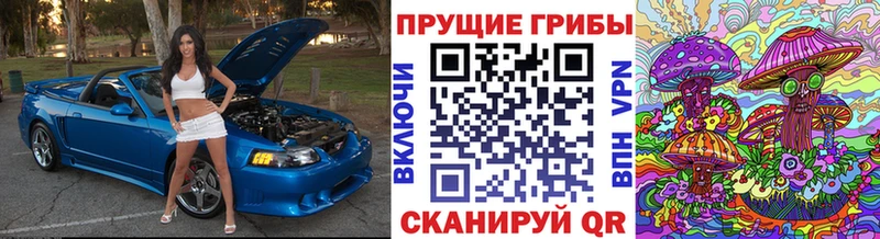 Галлюциногенные грибы ЛСД Новотроицк