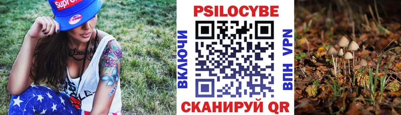 Галлюциногенные грибы прущие грибы Новотроицк