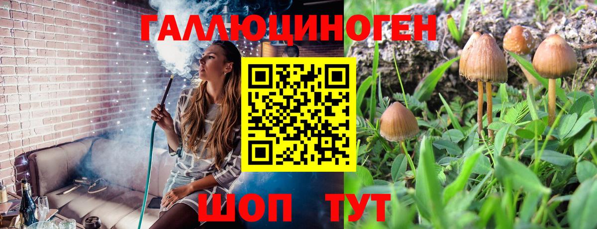 Псилоцибиновые грибы Cubensis Новотроицк