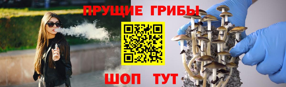 Новотроицк  Галлюциногенные грибы MAGIC MUSHROOMS  Вход с VPN  купить закладку  Галлюциногенные грибы MAGIC MUSHROOMS 